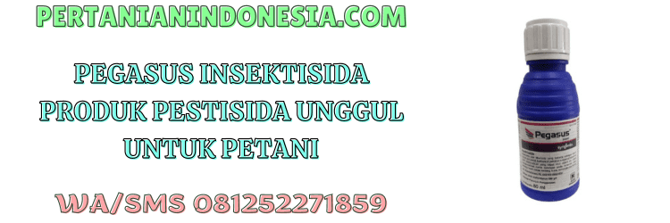 pegasus,insektisida,insektisida pegasus,pegasus 500 sc,syngenta,pertanian indonesia